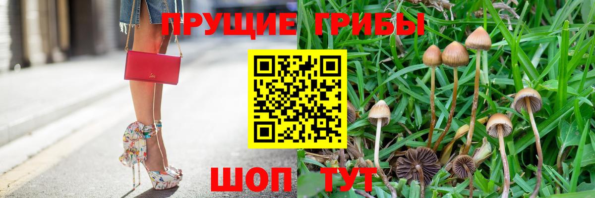 Галлюциногенные грибы мухоморы  Галлюциногенные грибы Cubensis  Вход с VPN  Избербаш 